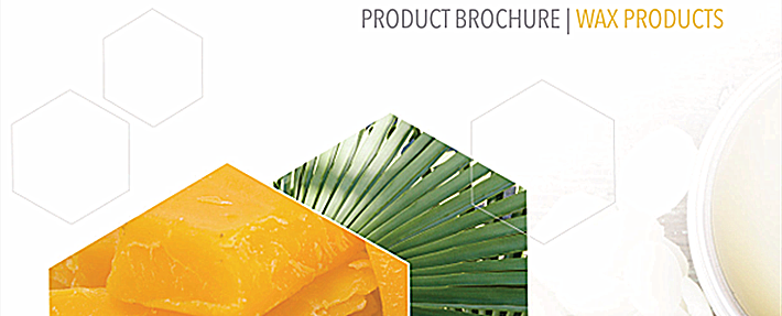 Personal Care Brochure